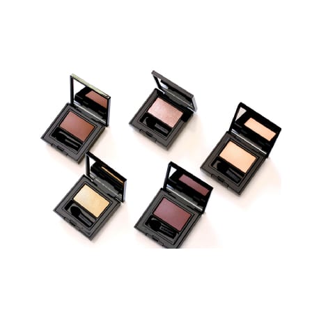 ESTEE LAUDER sombra ojos envy