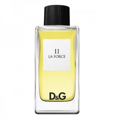 DOLCE & GABBANA D&G 11 La Force